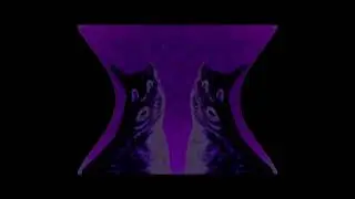 Preview 2 numa cat 3 deaf blind major deaf major in g major 4