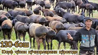 СУРХОНДАРЁ ЗОТЛИ КУ́ЧКОР ОТАРИ ЮСУФ ЧУПОНДА КАТТА ТАНЛОВ