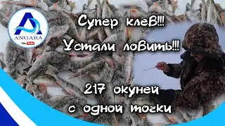Супер клёв окуня. Зимняя рыбалка. Рыбий жор.