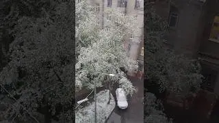 Снегопад в Москве. 8 мая 2024 г.