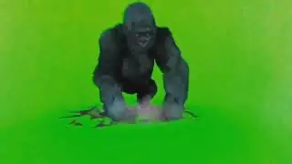 Green Screen Dragon flying new angles♏
