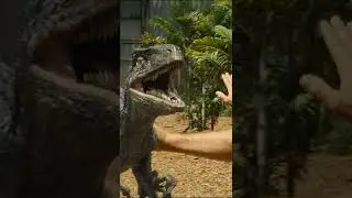 How Dinosaur is added in Jurassic World movie?