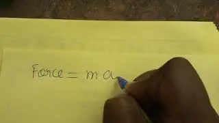SI unit of force
