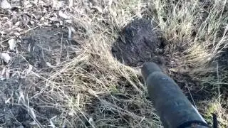 Stihl BR600 Magnum Backpack Blower vs Anthill