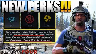 New Perks Coming and Potential Overhaul to Perk System in Warzone | Update to Counter Dead Silence
