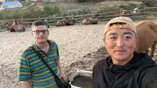 Кто сегодня остался один на хозяйстве 😉