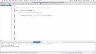 4. The System.out.println statement - Learn Java