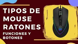 ⛔ NO COMPRES UN MOUSE SIN VER ESTE VIDEO! GUÍA DE MOUSE GAMER DEFINITIVA 2022