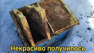 10.03.2024г; Первый осмотр после зимовки на воле