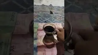 Ngopi pahit rokokmu seng larang