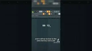 30 Second FL Studio Tip 