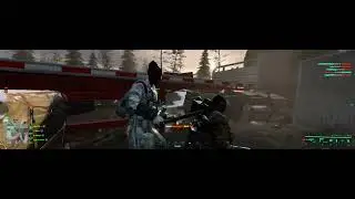 what the fuck is going on