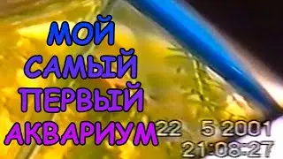 МОЙ САМЫЙ ПЕРВЫЙ АКВАРИУМ 