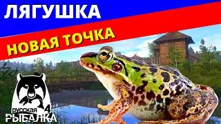 ЛЯГУШКА НОВАЯ ТОЧКА - Супер Клёв / ФАРМ ✅ РУССКАЯ РЫБАЛКА 4 🔴 Russian Fishing 4 🔴РР4