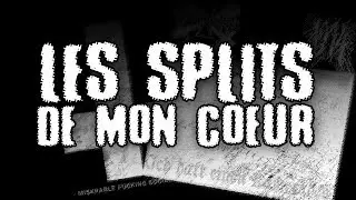 Les splits-albums de mon coeur