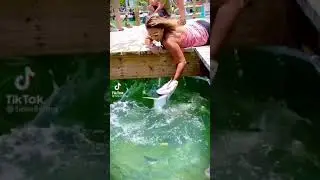 #shorts