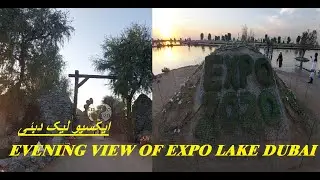 Dubai Expo 2020 | Expo Lake Dubai | Expo Dubai 2020 | Dubai EXPO 2020 | Beautiful Expo Lake Dubai