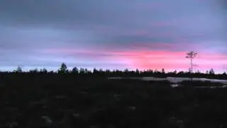 вечер на весенней охоте