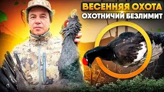 Весенняя охота в Волковском | Добыты кабан, тетерева и глухарь | Полный фильм