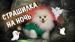 УЖАС В ПОДВАЛЕ