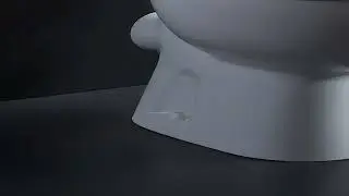 Big Dump at the Office Toilet
