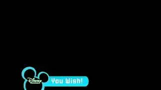 Disney Channel Screen Bug (You Wish!) (Early 2003) (RECREATED PICTURE ONLY)