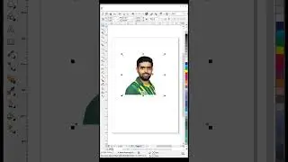 Convert Image into line art in coreldraw | One Color Screen Printing 