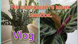 Цветочный день!Не совершаете моих ошибок‼️