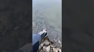 Лови-отпуская! 