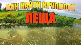 ИЩУ РЫБУ!!! Где держится КРУПНЫЙ ЛЕЩ на малой реке. Подводная съёмка.