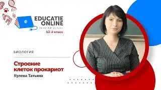 Биология, 10-й класс, Строение клеток прокариот