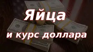 Яйца и курс доллара. Большая пресс-конференция главы Банка России.