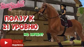 Ползу к 21 УРОВНЮ в Star Stable Online | Квест в игре про лошадей