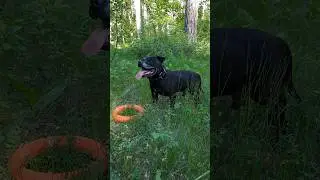 Бэк и Холли💜🔥 