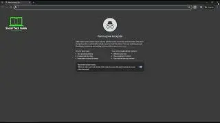 How to Enable Extensions in Incognito Mode Chrome 2024 (Complete Guide)
