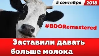 Black Desert – Обновление 05.09.2018 – Улучшение плавания, лодка за дружбу и много молока в BDO