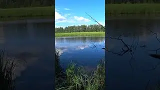 Рыбалка на живца с поплавком. Рыбалка на поплавок. 