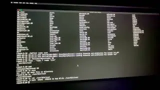 DIY: Find and delete files in recovery mode yourself (macOS)