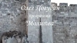 Олег Погудин программа 