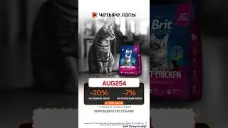 Корма, аксессуары и одежда для животных с доставкой на дачу