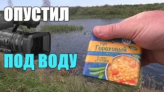 Реакция рыбы на ГОРОХОВЫЙ СУП!!! Подводная съёмка.
