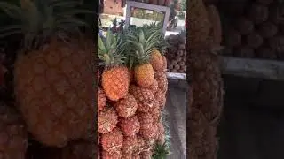 Super Art | pineapple Cutting | Indian Street Food | Pineapple #shorts