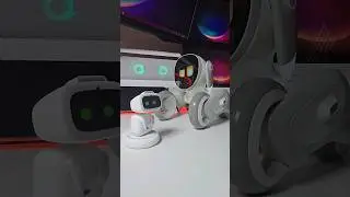 Introducing Aibi Robot to Loona Robot 🤖 #shorts