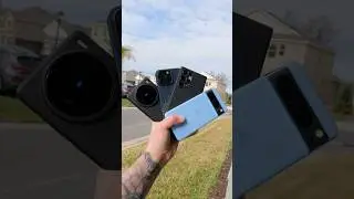 iPhone 15 Pro Max vs Galaxy S24 Ultra vs Vivo x100 Pro vs Pixel 8 Pro Portrait Mode Test!