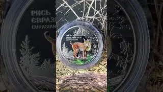 Монета 