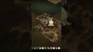 Мод на ХП в Don't Starve Together 