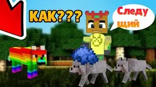 Как покрасить собаку в майнкрафте??? На телефоне с версии 1.16 +. Без модов. МаЗи.