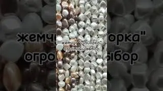 Жемчуг 