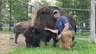 Brian and Rosie