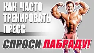 Как часто тренировать ПРЕСС? - Спроси Лабраду (русская озвучка Памп ТВ)